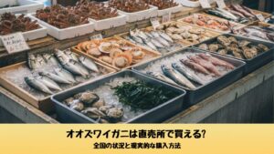 漁港の直売所に並ぶ鮮魚や貝類の売り場。カニは少量で、オオズワイガニが常時並ぶわけではない雰囲気が伝わる写真