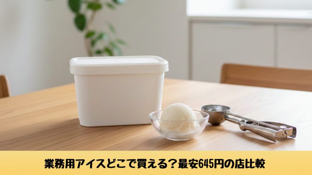家庭で使える長方形タイプの業務用2Lバニラアイスとアイスディッシャー｜業務用アイスどこで買える