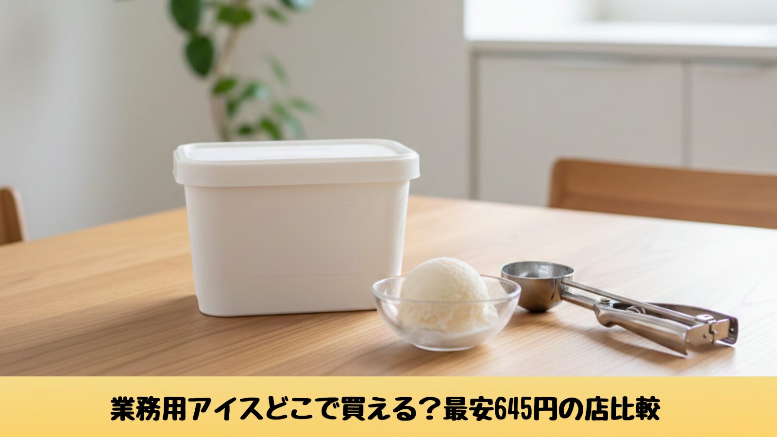 家庭で使える長方形タイプの業務用2Lバニラアイスとアイスディッシャー｜業務用アイスどこで買える
